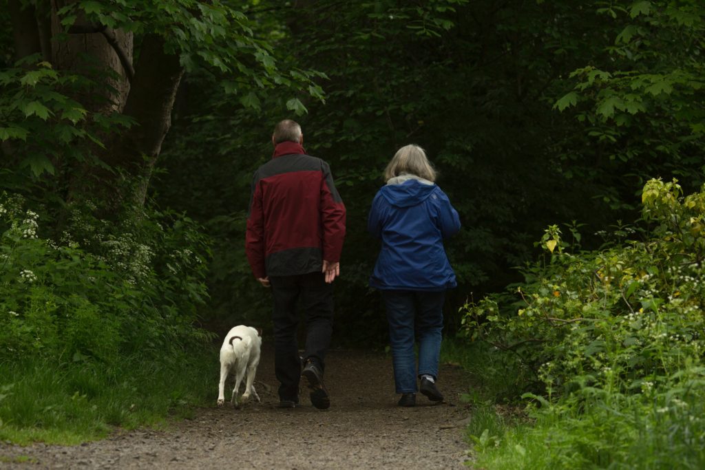 A man and a women walking their dogs on a path in the woods